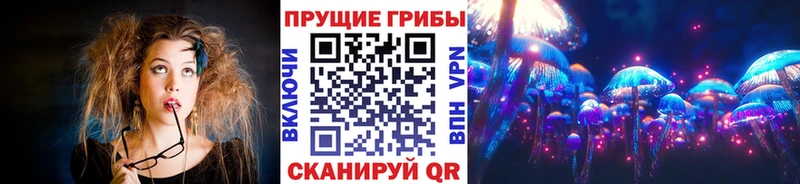 Псилоцибиновые грибы Cubensis  даркнет сайт  Красный Сулин 